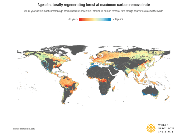 A map of the globe showing the maximum rate of annual carbon removal in different colors.