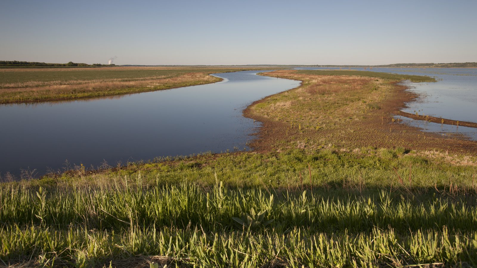 A view of a wetland at golden hour. Water is flowing around low grassy vegetation. 