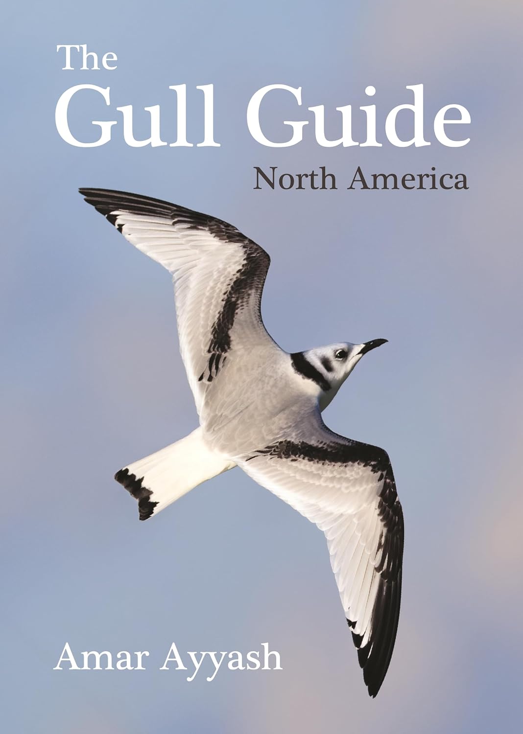 The image of a book cover featuring a black and white gull soaring against the sky.