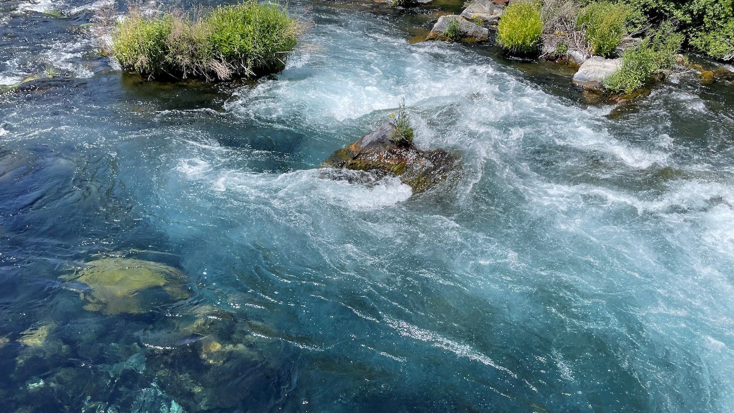 A view looking down into the creek waters.