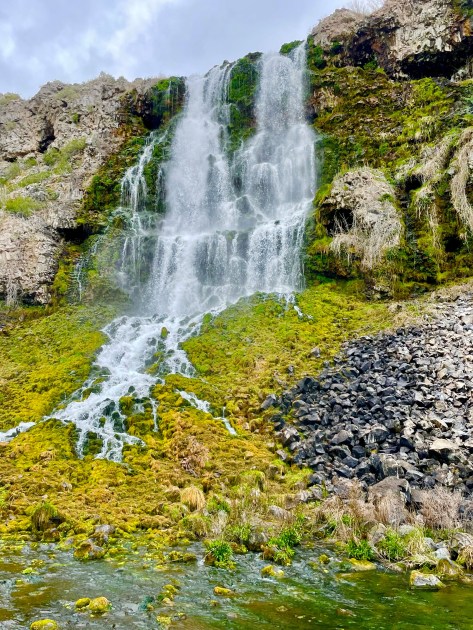 View of a waterfall, where the water cascades from a cliff on to lime green algae and moss.