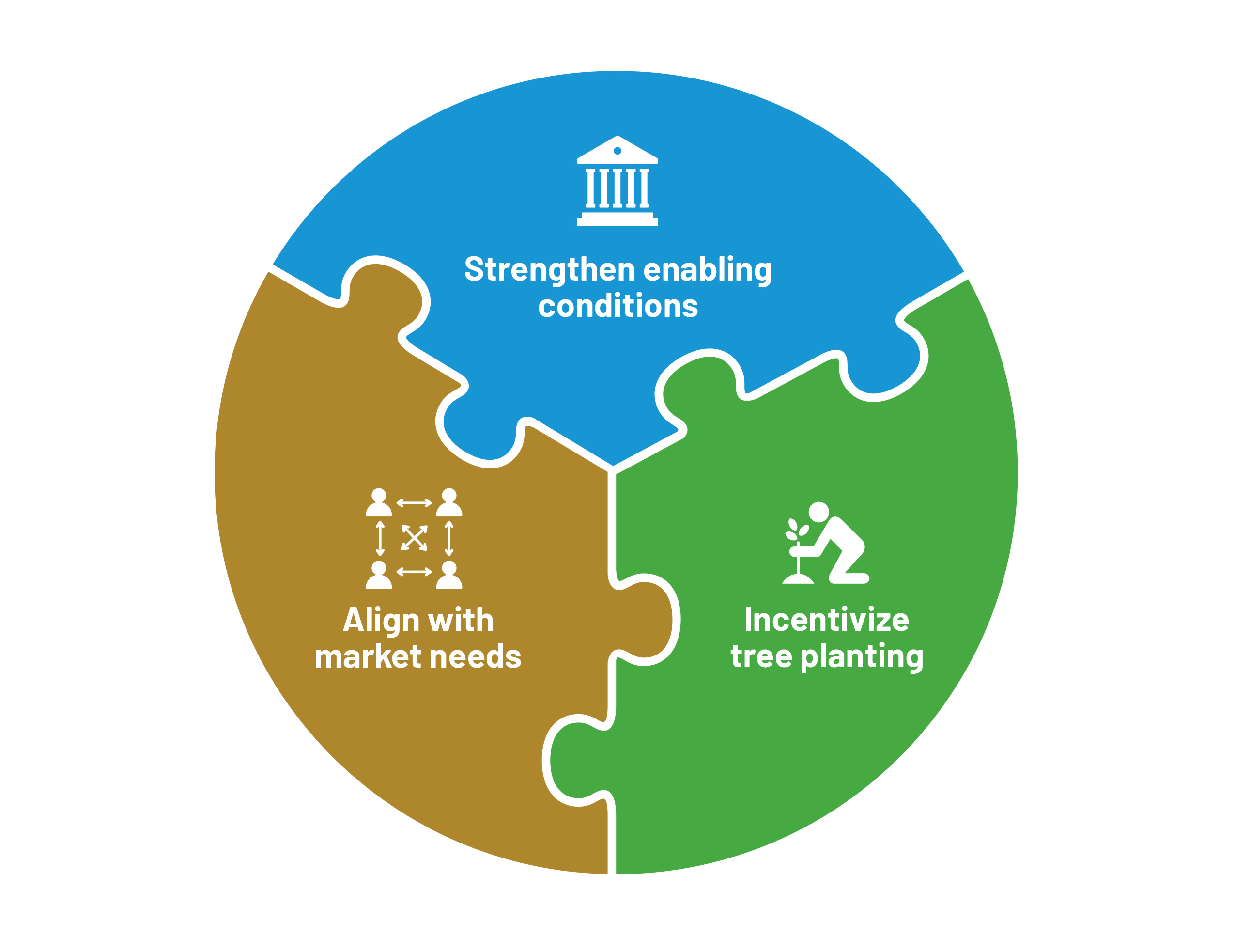 Circular graph on strategies for scaling agroforestry: strengthen enabling conditions; align with market needs; incentive tree planting.