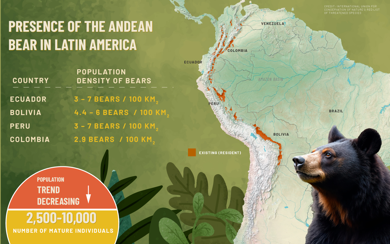 This map illustrates the geographic presence and estimated population densities of the Andean bear in four key countries: Ecuador, Bolivia, Peru, and Colombia.