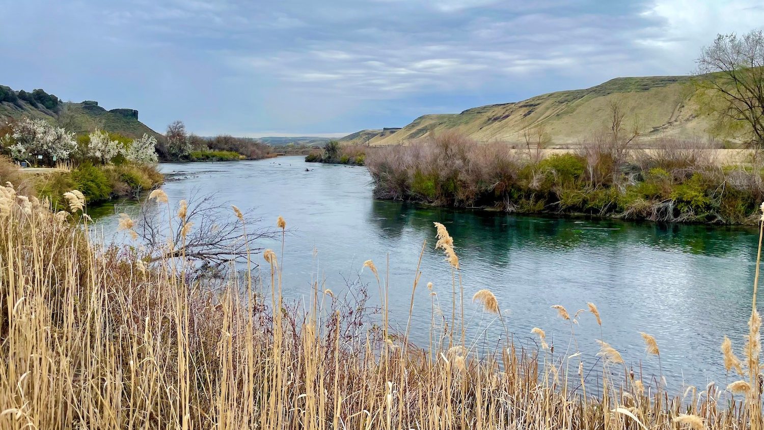 A river winding through grassy banks.