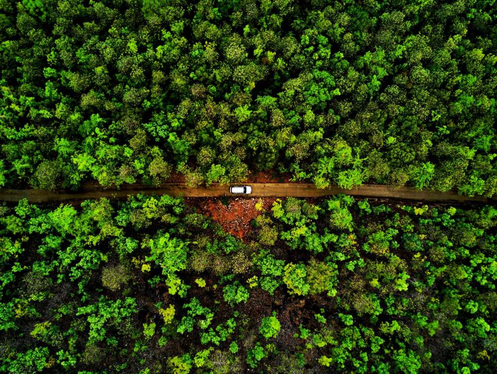 Aerial view of a forest with a red dirt road running through it. A whit car it parked on the road in the center of the image.