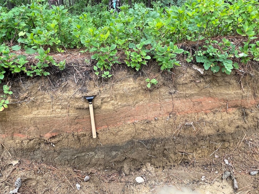 The wall of a trench showing different layers of sediment. A trowel is stuck in the soil near the top of the trench.