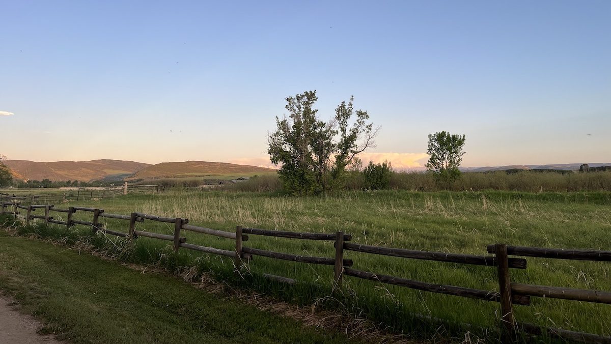A grassy field, with low mountains in the distance and a fence in the foreground.