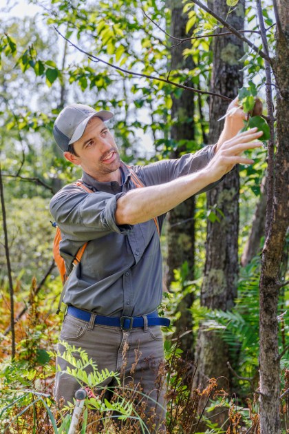 A man in a baseball cap and a blue shirt with his hands on a small tree branch