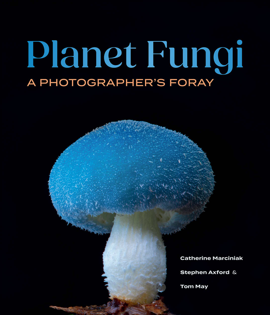 A book cover with a large blue fungi against a black background/