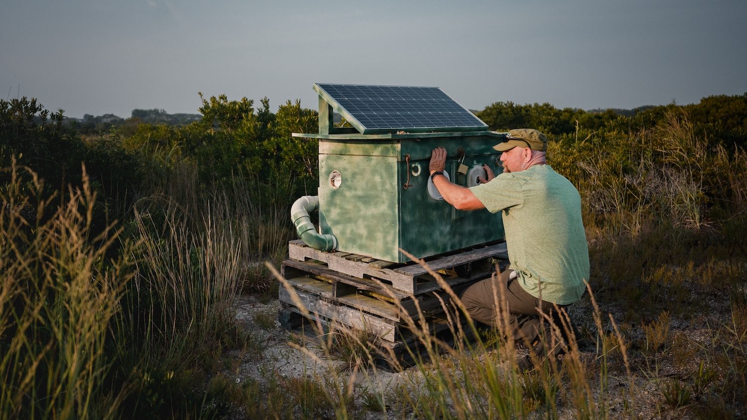 A man crouches next to a wooden box amid coastal dunes. 