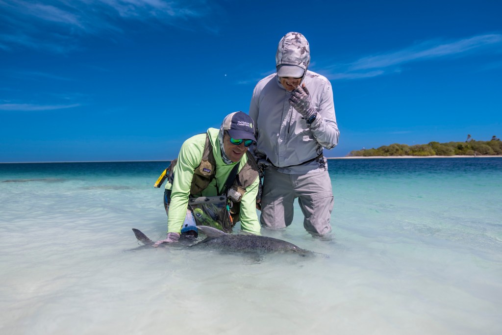 Two men standing in the shallows with a very large fish.