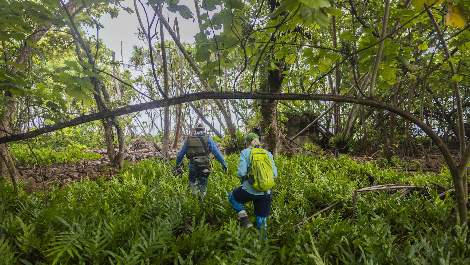 Two people walking with fishing hear through island vegetation. 