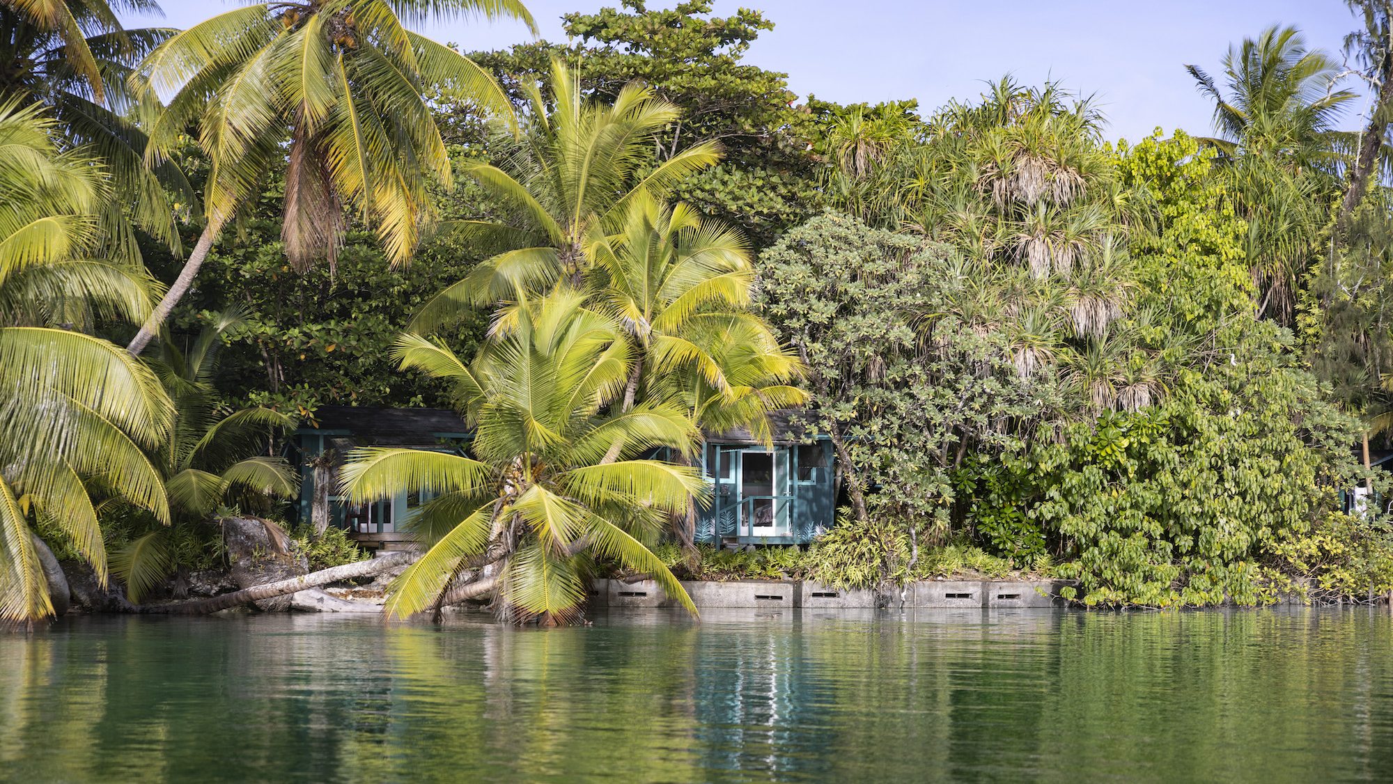 A small hut surrounded by a coconut tree on the shore of an island. 