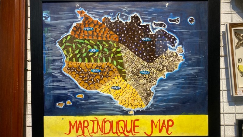 A mural of an island made from butterfly wings