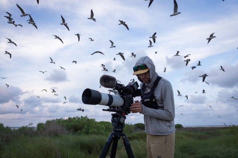 A man with a camera on a tripod as birds fly over his head. 