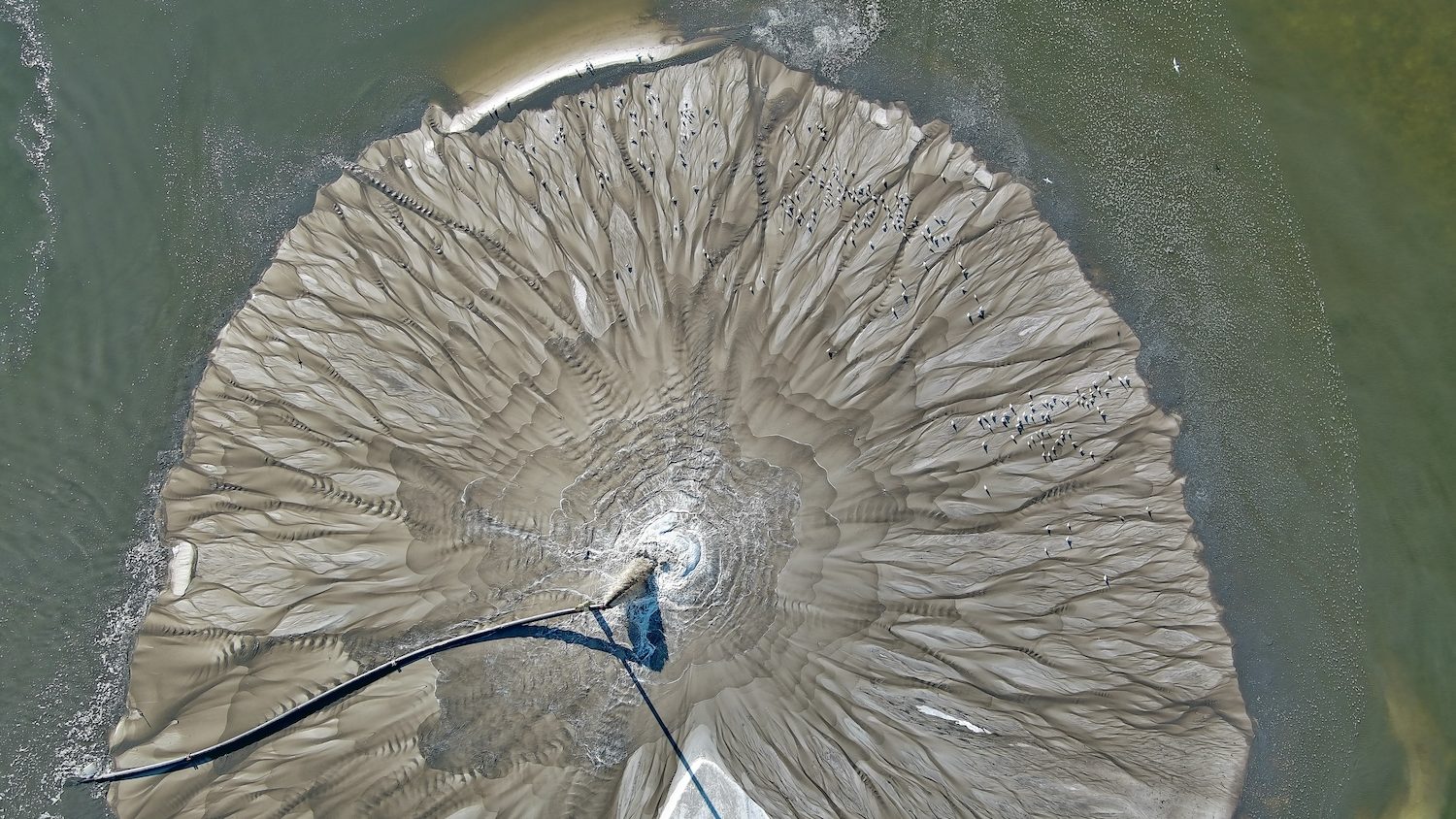 An aerial view of an island covered in seabirds.