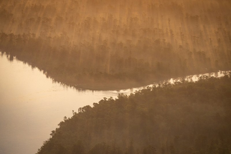 Aerial view of a river delta. 
