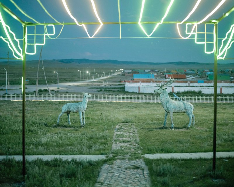 A statue of a wold and a deer with lights in the background. 