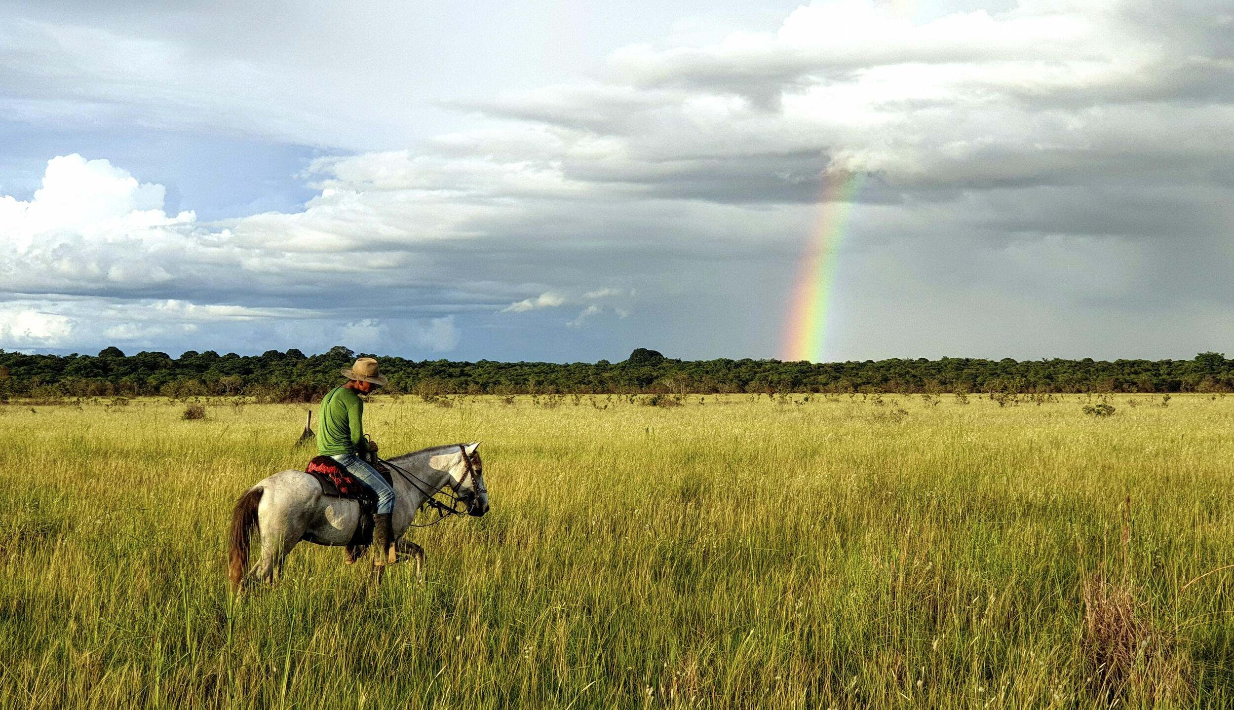 Man on horseback riding through grasslands with a rainbow in the background.