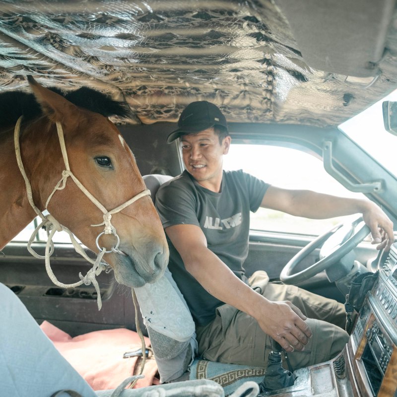 A man sitting in the driver's seat of a car while a horse pokes it's head through from the back. 