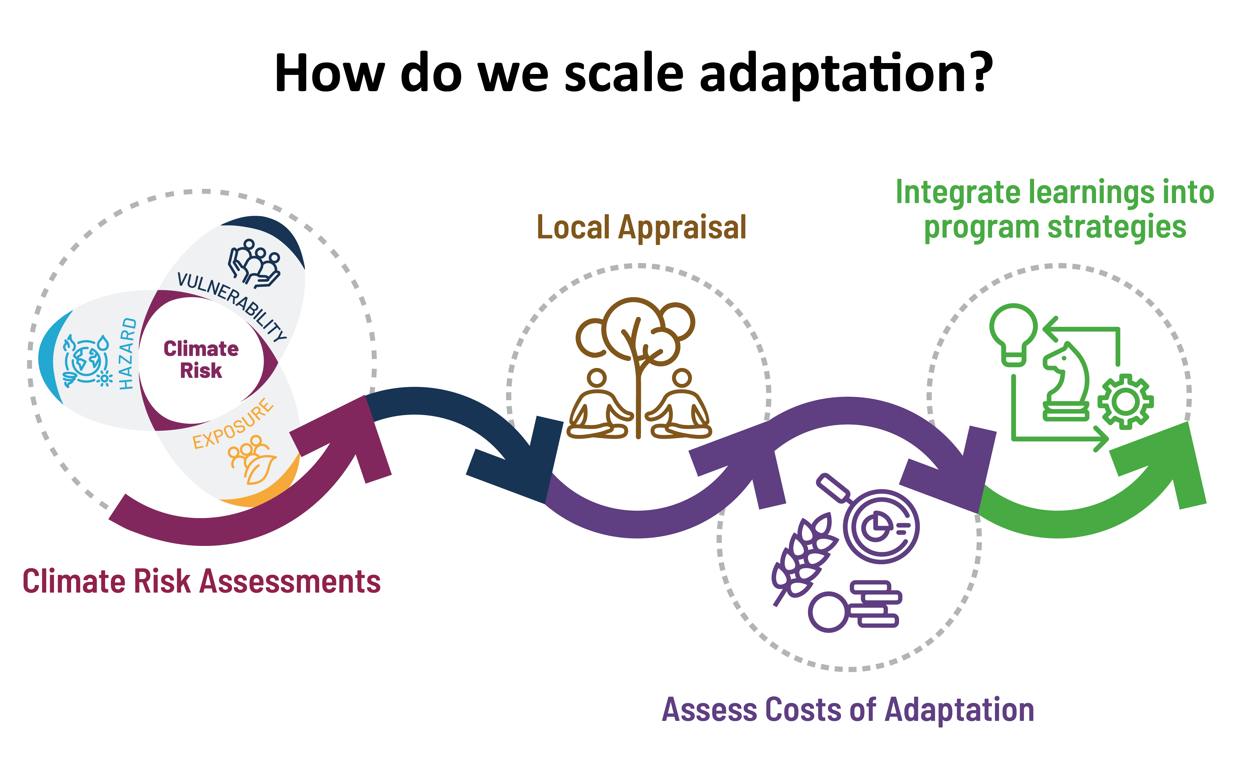 Colorful graphic of circles and arrows showing the steps and flow to the process of scaling adaptation