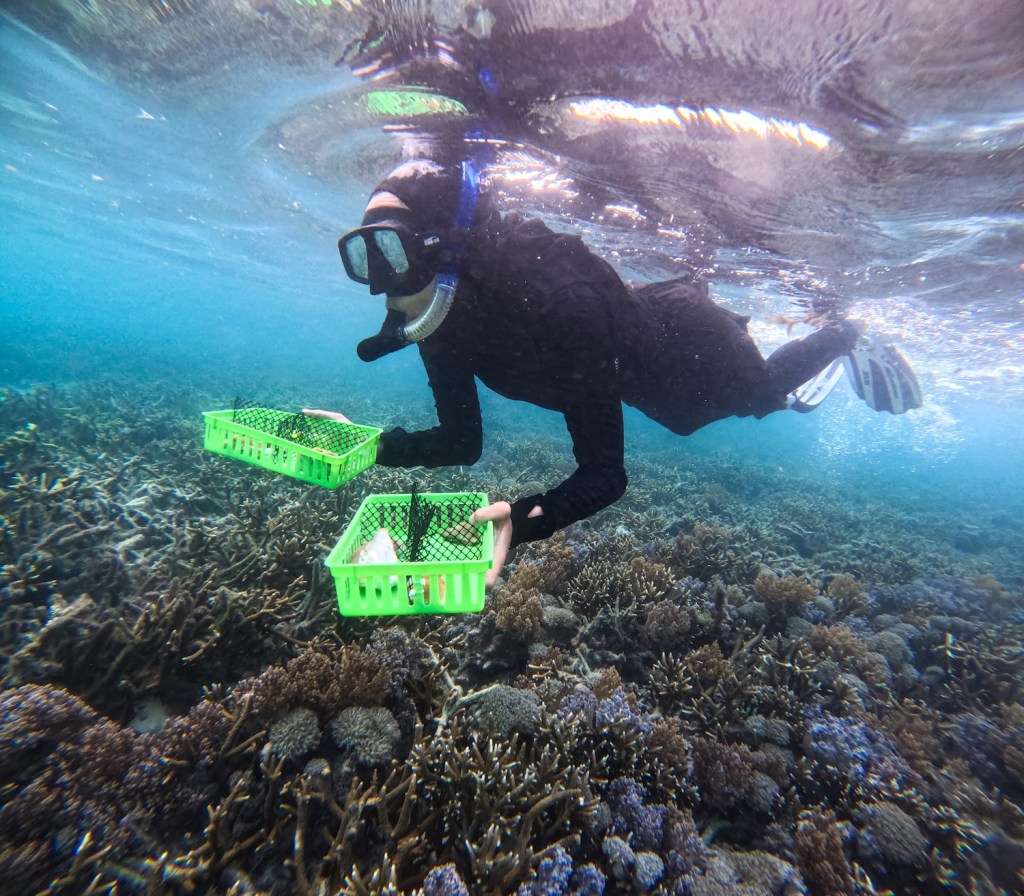 A scuba diver swimming with two green plastic baskets.