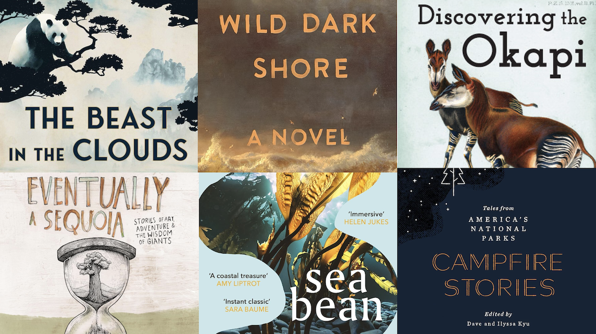 A composite image of 6 book covers.