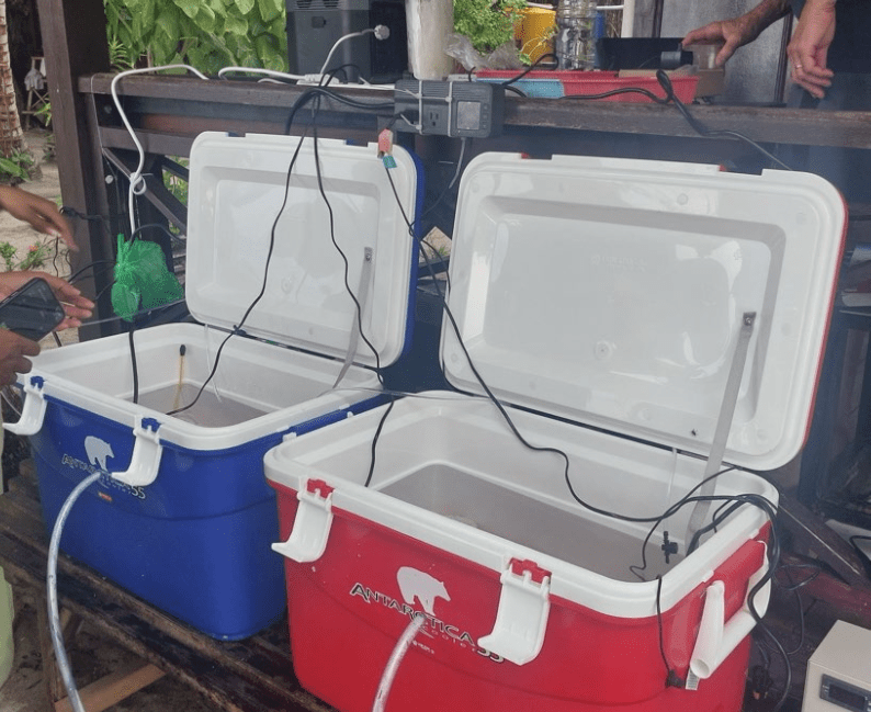 A red and blue drink cooler hooked up to a water pump and thermometer