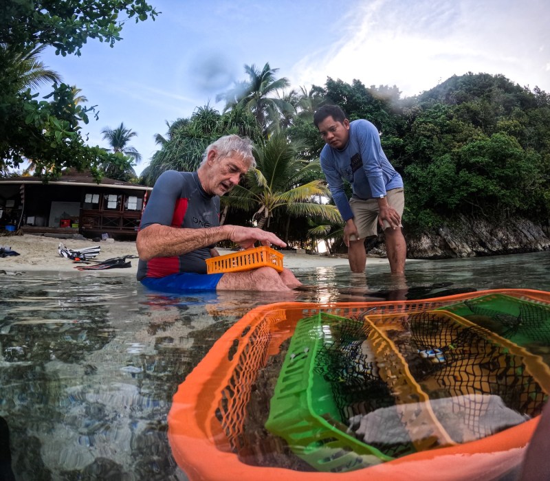 Two men crouch in the shallows. In the foreground there is a plastic basket of coral submuerged in the water.