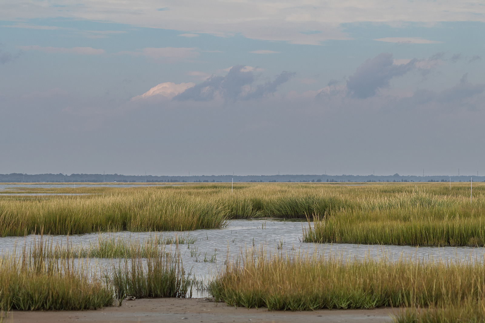 Marsh grass shining green, gold and silver in the reflected light of water, clouds and sky.
