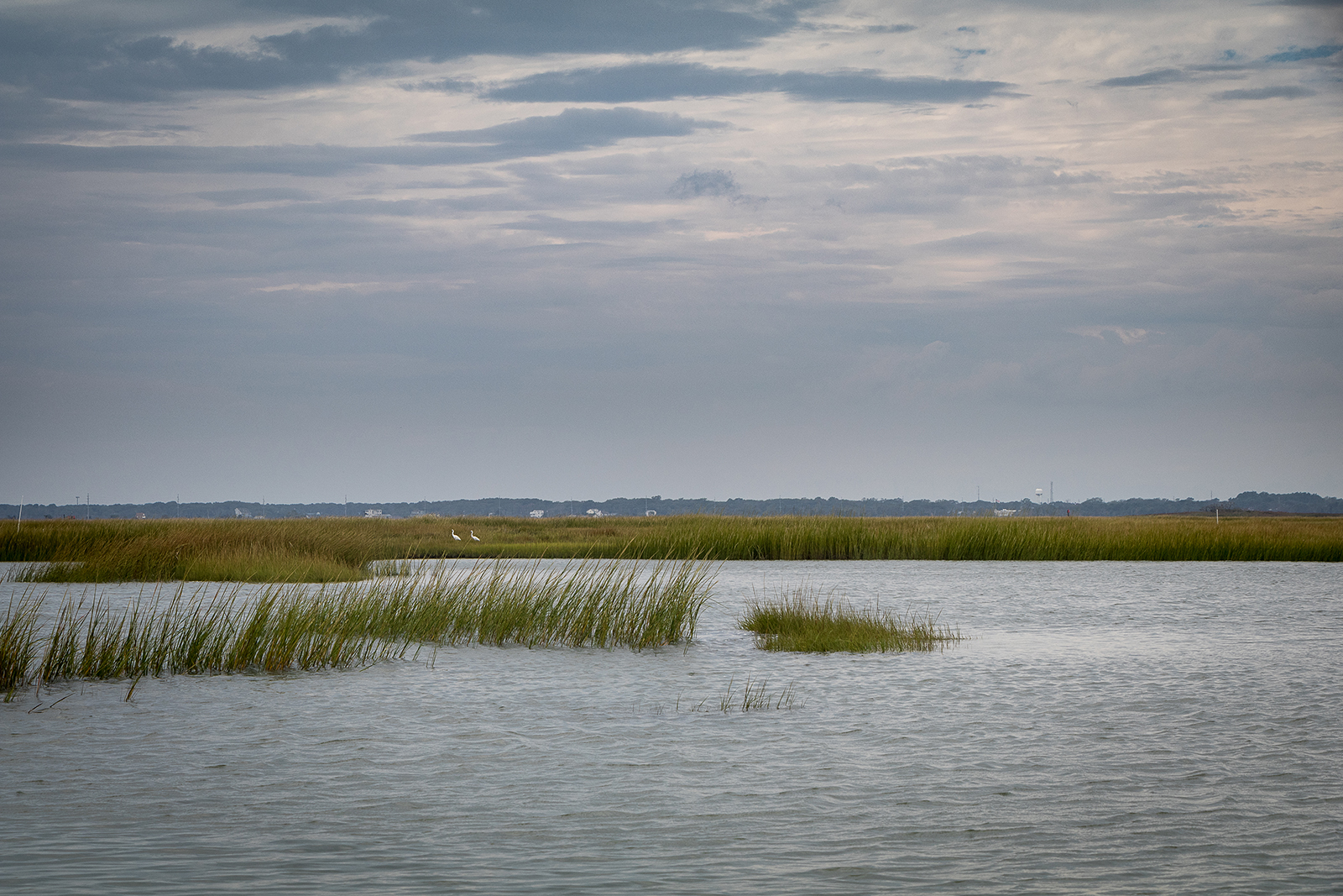 Salt marsh in Barnegat Bay--green grasses inundated with water under a cloudy sky