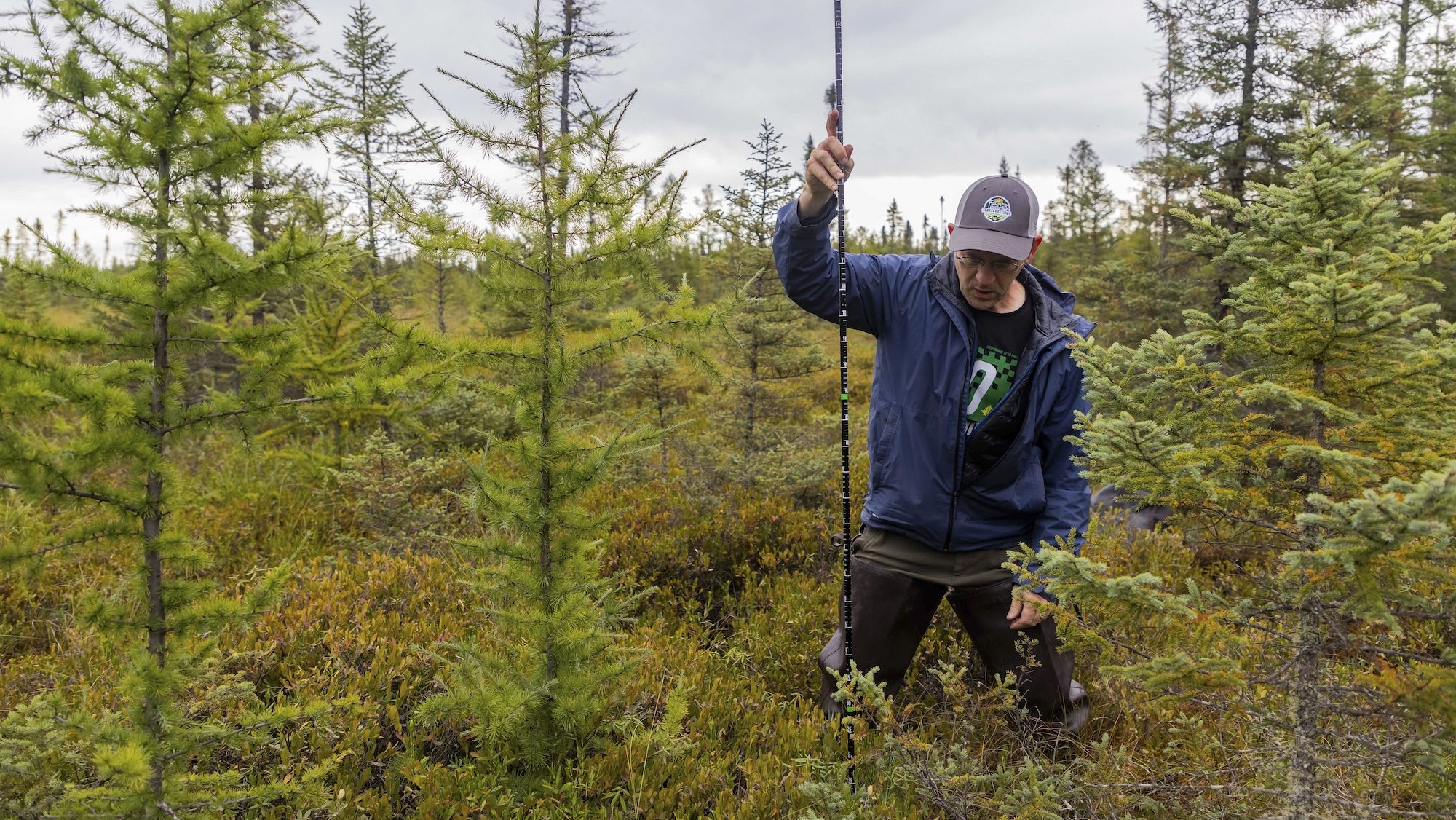 A mean standing in a bog with a long measuring stick.