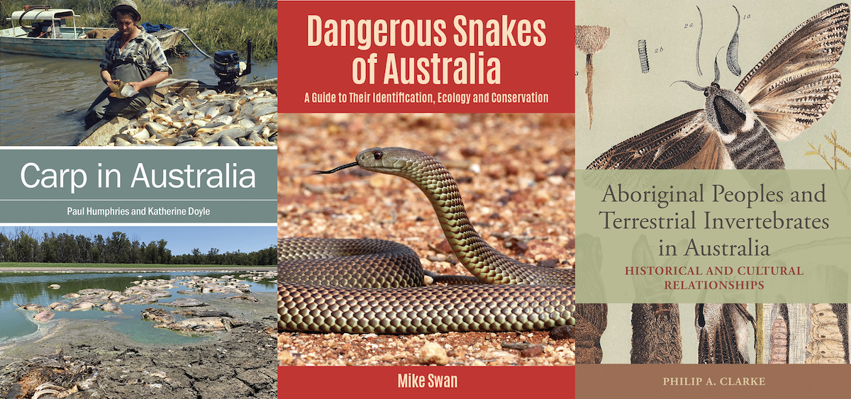 The cover of three books.