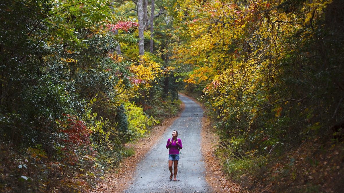 A woman walking along a road through fall foliage.
