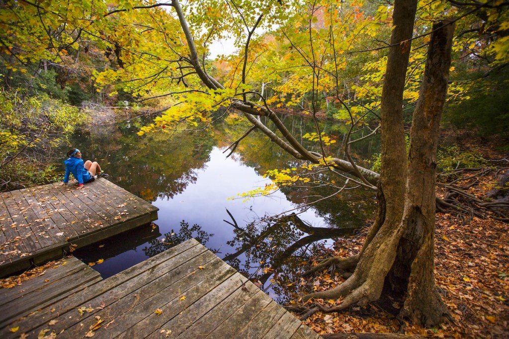 A woman sitting on a dock next to the lake.