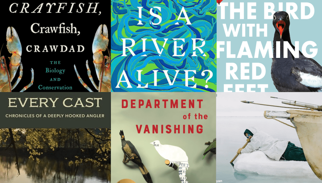 a grid of 6 book covers