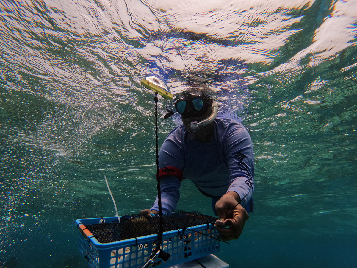 underwater diver with basket