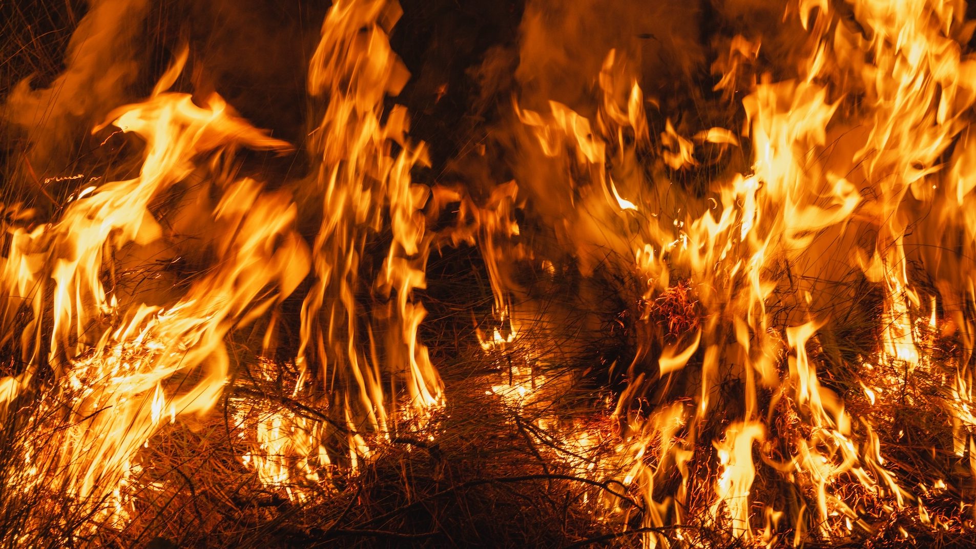 a close up of flames burning grass