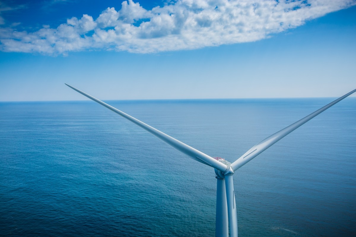 As wind turbines generate energy above water, their bases provide an opportunity for underwater habitat. © Ayla Fox