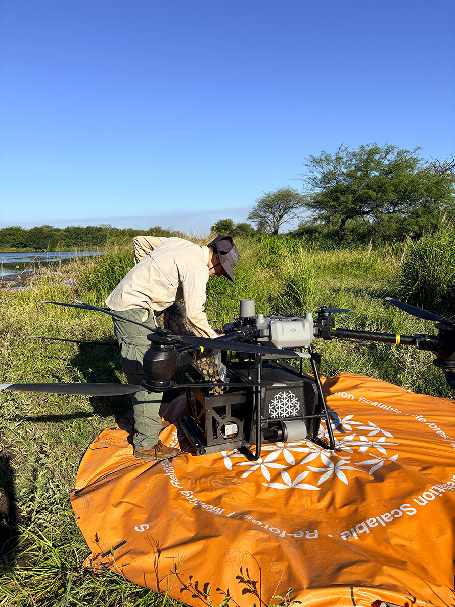 Man standing above a large drone with propellers filling it with specially designed seed pods.