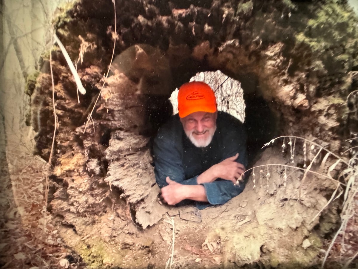 A man in an orange hard had crawls inside a hollow tree log.